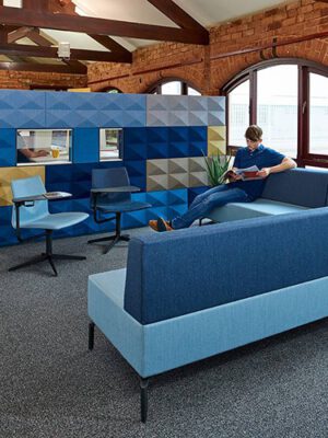 Akoestische Scheidingswand The Wall