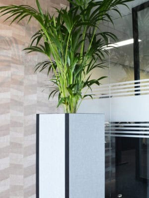 Akoestische Plantenbak vierkant